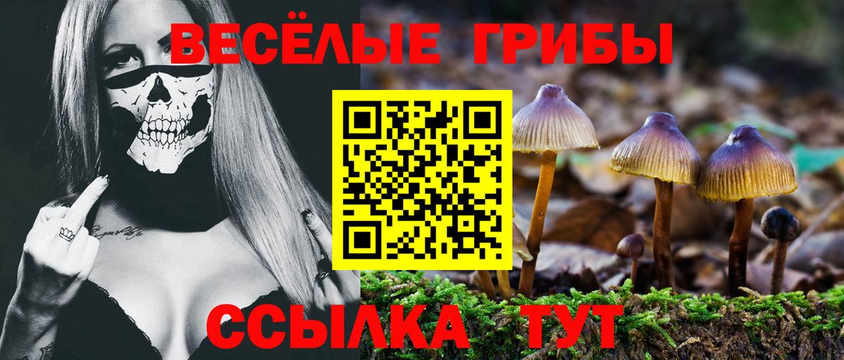 Муром  Галлюциногенные грибы Cubensis  Вход с VPN 